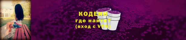 прущие грибы Абинск
